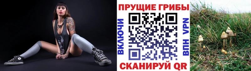 Псилоцибиновые грибы мицелий  сайты даркнета клад  Вельск 
